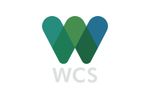 https://hypes-images.s3.amazonaws.com/assets/website/TINT-client-logos/WCS
